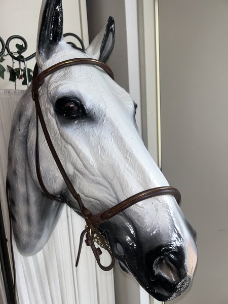 Spanskt visningsträns