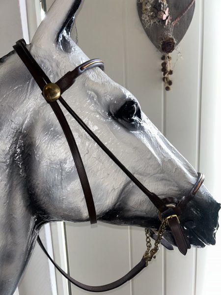 Spanskt visningsträns